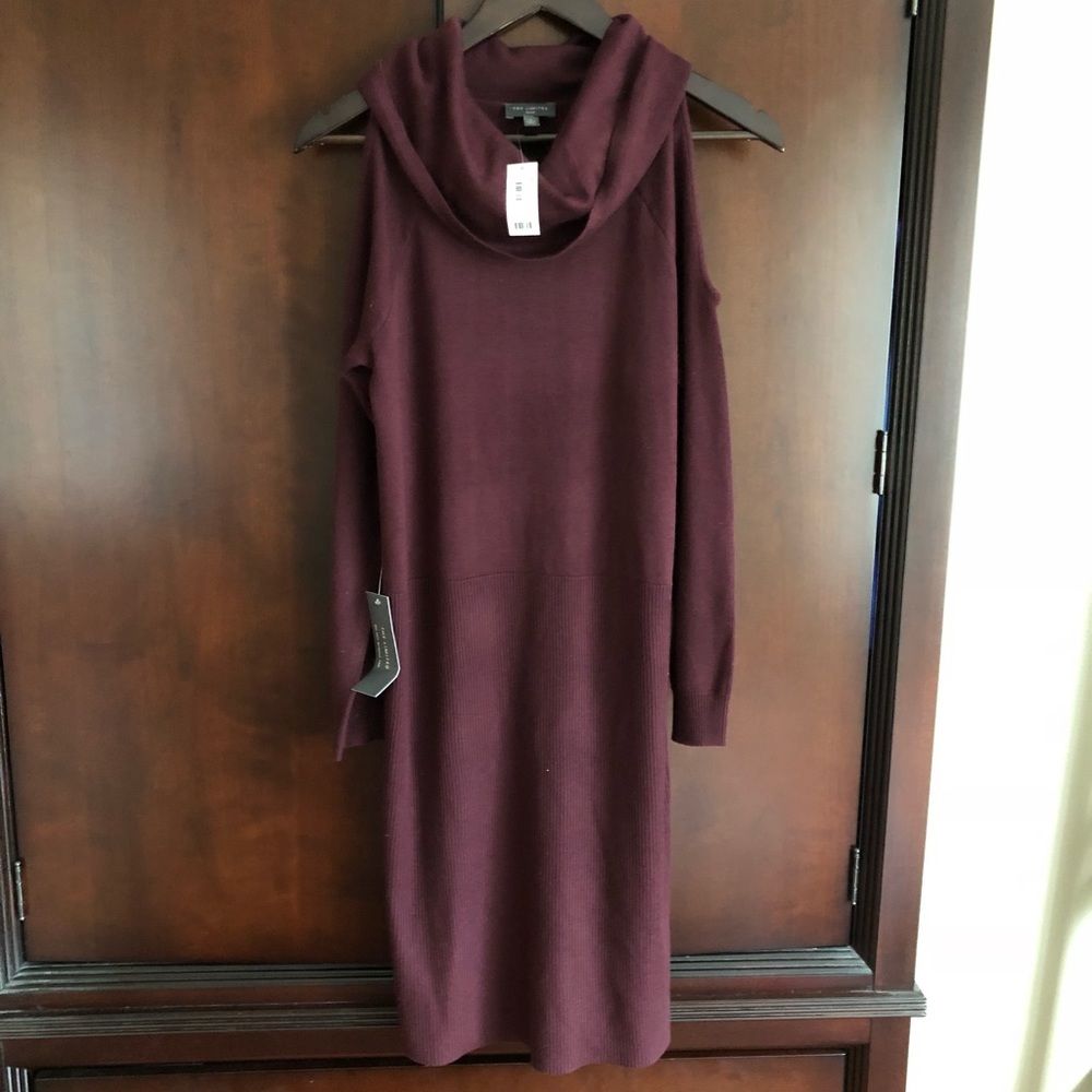 Purple sweater dress from The Limited